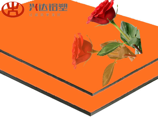XSJ-836-High Glossy Orange